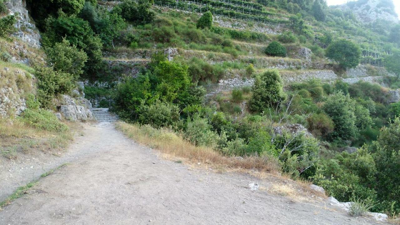 شقة Coastal Cliff, Amalfi Pianillo المظهر الخارجي الصورة